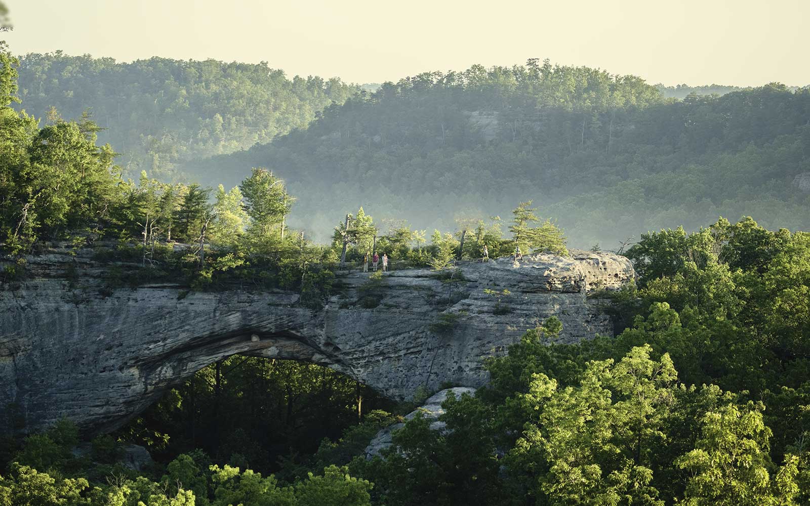 Kentucky Childhood